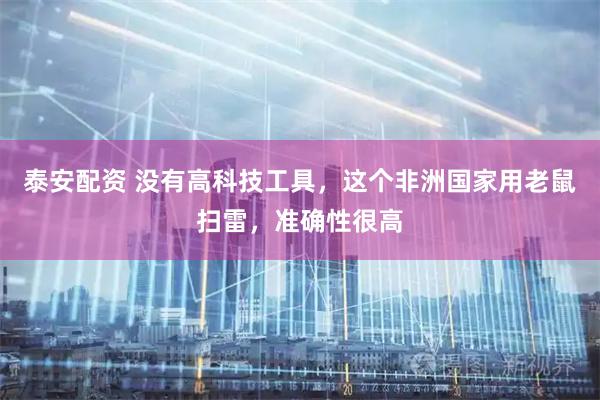 泰安配资 没有高科技工具，这个非洲国家用老鼠扫雷，准确性很高
