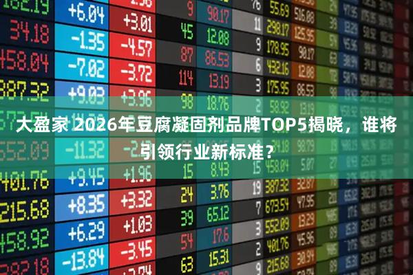 大盈家 2026年豆腐凝固剂品牌TOP5揭晓，谁将引领行业新标准？